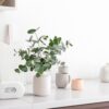 Airthings 2960 View Plus - Battery Powered Radon & Air Quality Monitor (PM, CO2, VOC, Humidity, Temp, Pressure) - Image 4
