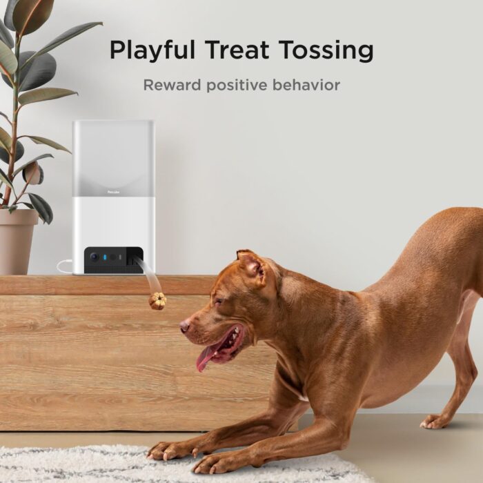 Petcube Bites 2 Lite Interactive WiFi Pet Monitoring Camera with Phone App and Treat Dispenser, 1080p HD Video, Night Vision, Two-Way Audio, Sound and Motion Alerts, Cat and Dog Monitor - Image 3