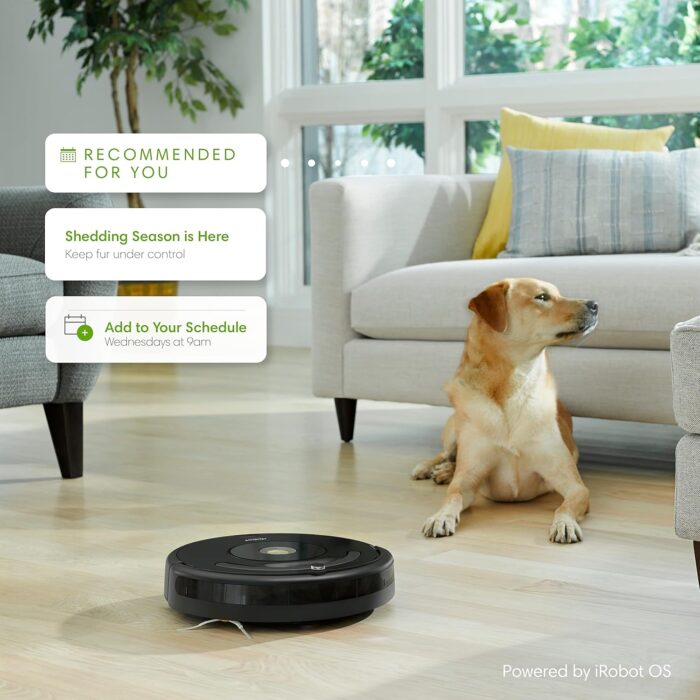 iRobot Roomba 671020 Robot Vacuum with Wi-Fi Connectivity, Works with Alexa, Good for Pet Hair, Carpets, and Hard Floors - Image 5