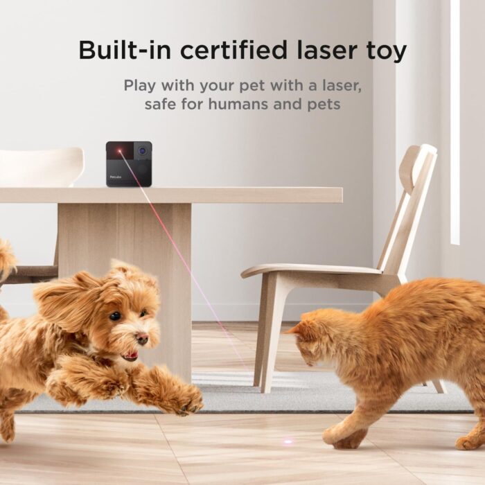 Petcube Play 2 Wi-Fi Pet Camera with Laser Toy for Cats & Dogs, 1080P HD Video, 160° Full-Room View, 2-Way Audio, Sound/Motion Alerts, Night Vision, Pet Monitoring App - Image 2