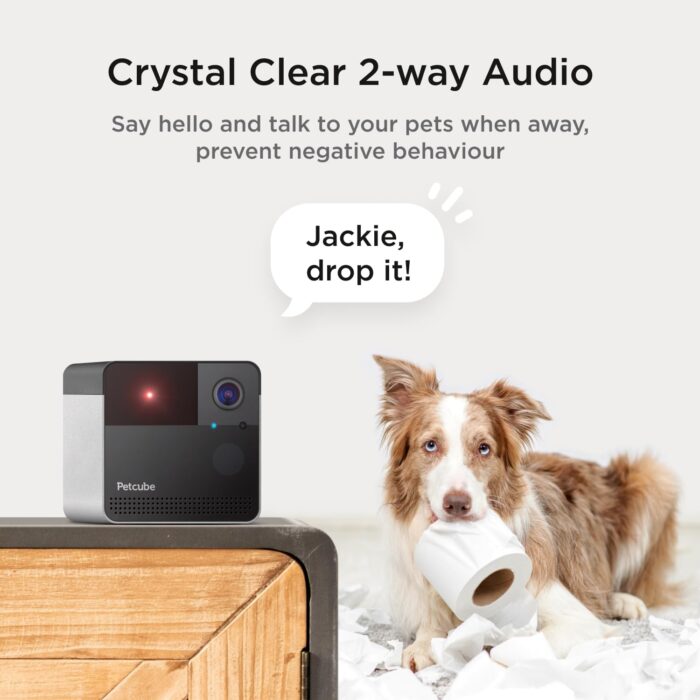 Petcube Play 2 Wi-Fi Pet Camera with Laser Toy for Cats & Dogs, 1080P HD Video, 160° Full-Room View, 2-Way Audio, Sound/Motion Alerts, Night Vision, Pet Monitoring App - Image 6