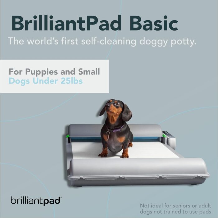 BrilliantPad Indoor Dog Potty for Small Pets, Basic | Automatic Self Cleaning with Odor Control, Puppy Training Alternative to Grass Turf, Mess Free | Includes 1 Disposable Absorbent Pee Pad Roll - Image 3